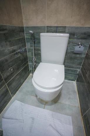 Imagen de la habitación del Hotel Pyramids Sunshine View. Foto 19