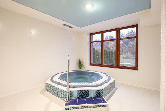 Imagen de la piscina del Hotel Pytloun Wellness Hasi&scaron;tejn. Foto 20