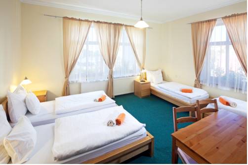 Imagen de la habitación del Hotel Pytloun Wellness Travel. Foto 9