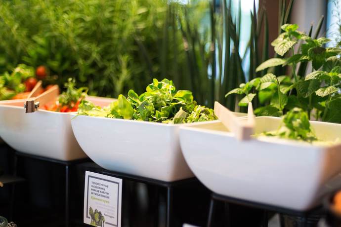 Imagen del bar/restaurante del Hotel Q Plus Katowice. Foto 2