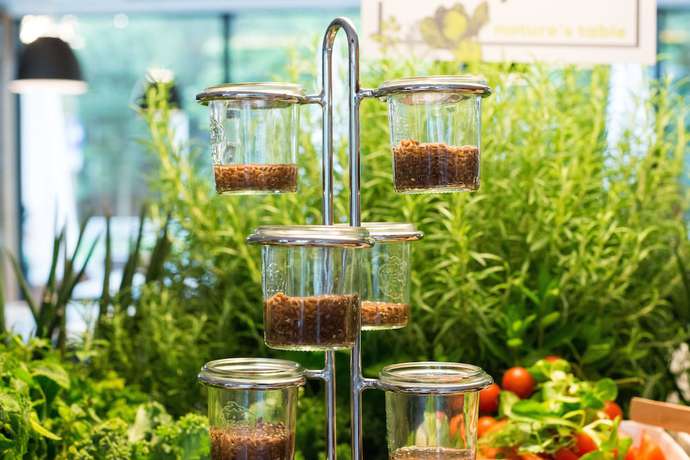 Imagen del bar/restaurante del Hotel Q Plus Katowice. Foto 3