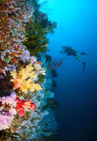 Imagen de los exteriores del Hotel Qamea Resort and Spa Fiji. Foto 7