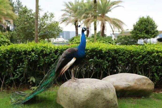 Imagen general del Hotel Qiandaohu Our Relax Villa. Foto 10