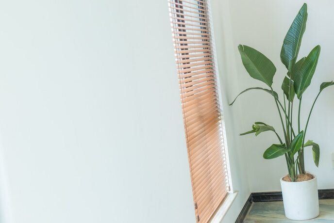 Imagen general del Hotel Qiandaohu Shishan My House. Foto 8