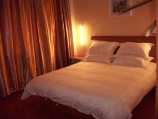 Imagen de la habitación del Hotel Qianqiao International Pudong Avenue. Foto 4