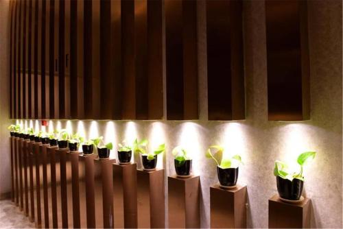 Imagen general del Hotel Qianxi Oriental. Foto 5