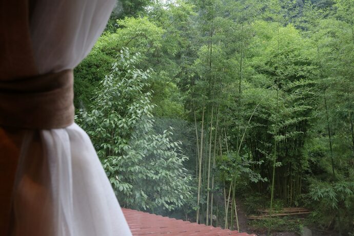 Imagen general del Hotel Qing Dynasty House. Foto 4