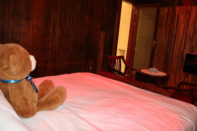 Imagen de la habitación del Hotel Qing Dynasty House. Foto 20