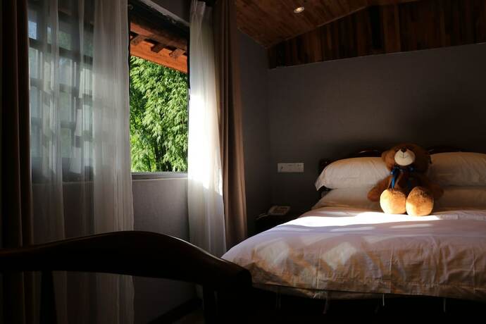 Imagen de la habitación del Hotel Qing Dynasty House. Foto 22