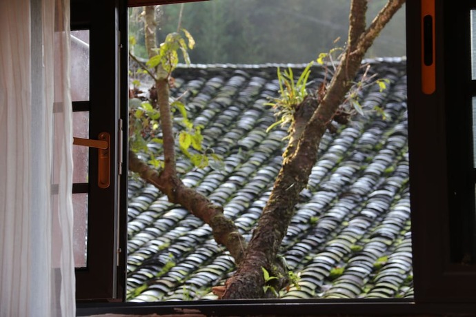 Imagen de la habitación del Hotel Qing Dynasty House. Foto 31