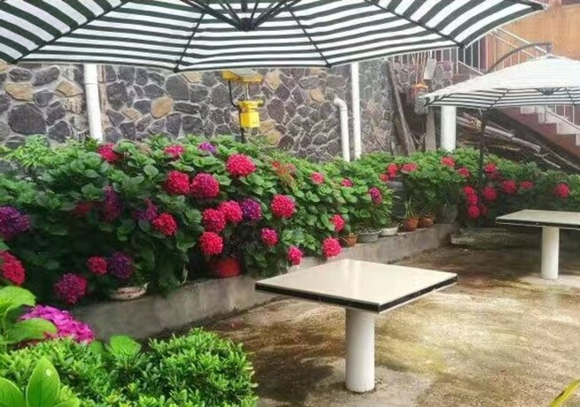 Imagen general del Hotel Qing Ting Hotel. Foto 7