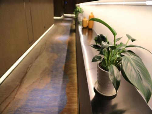 Imagen general del Hotel Qingdao Elegance. Foto 15