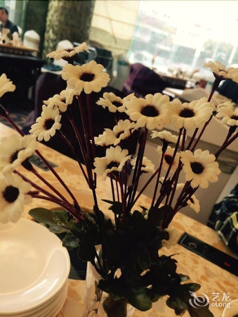 Imagen de los interiores del Hotel Qingdao Fuxin Hotel. Foto 18