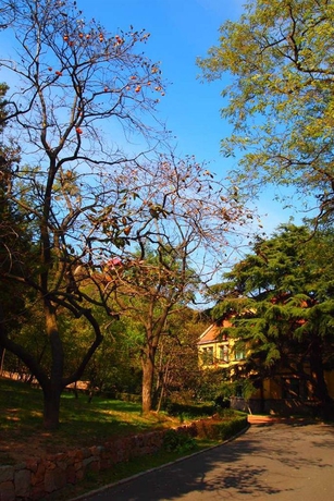 Imagen de los exteriores del Hotel Qingdao The Castle. Foto 9