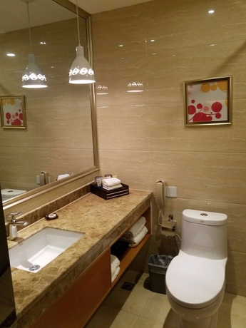 Imagen de la habitación del Hotel Qinghai Baiyun Xiangling. Foto 15
