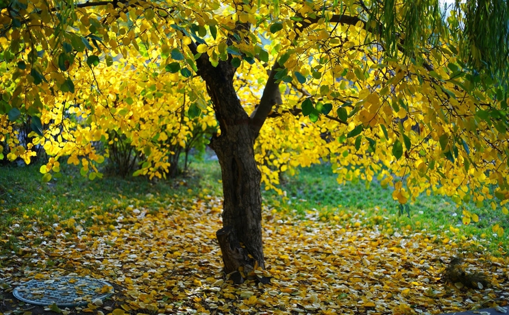 Imagen de los exteriores del Hotel Qingshan Baotou（yingbin Building）. Foto 17