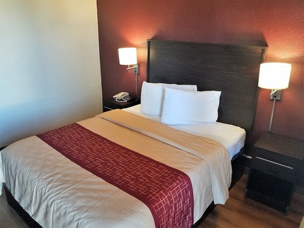 Imagen de la habitación del Hotel QuBed San Antonio. Foto 12