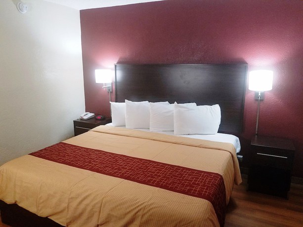 Imagen de la habitación del Hotel QuBed San Antonio. Foto 14