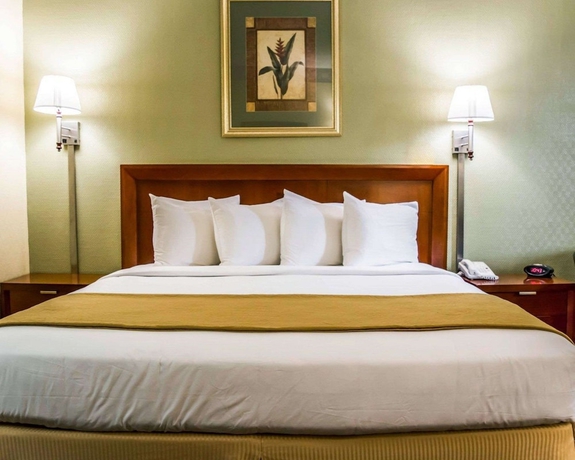 Imagen de la habitación del Hotel Quality Inn Airport - Cruise Port. Foto 8