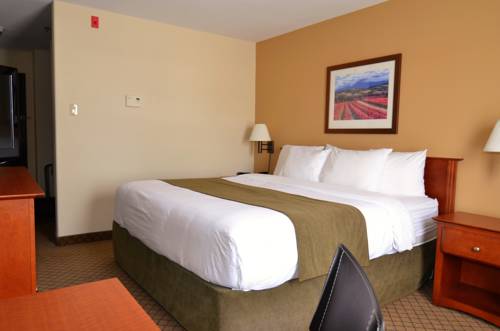 Imagen de la habitación del Hotel Quality Inn Airport, Moncton. Foto 7