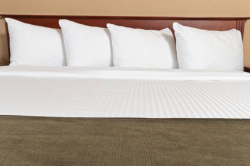 Imagen de la habitación del Hotel Quality Inn Airport, Moncton. Foto 15