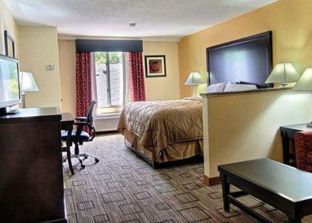 Imagen de la habitación del Hotel Quality Inn And Suites Greenville Near Downtown. Foto 10
