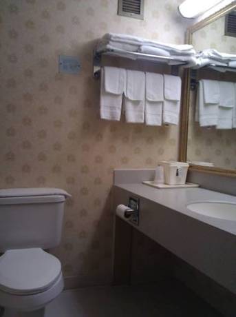 Imagen de la habitación del Hotel Quality Inn And Suites Kingston. Foto 6