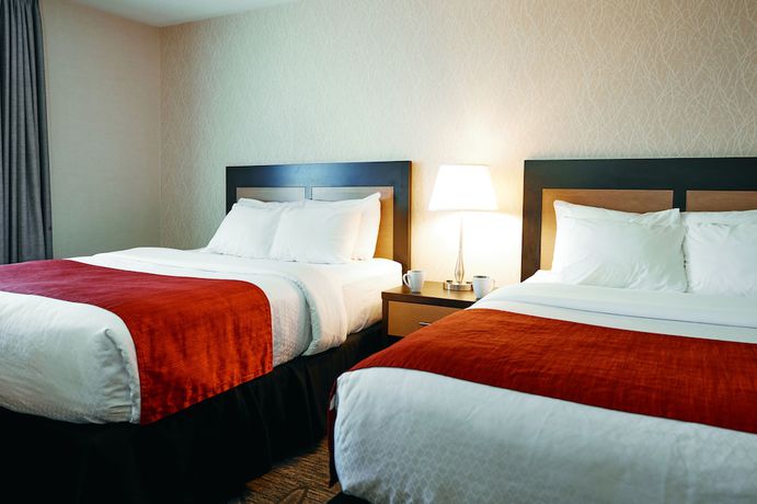 Imagen de la habitación del Hotel Quality Inn And Suites, Kingston. Foto 11