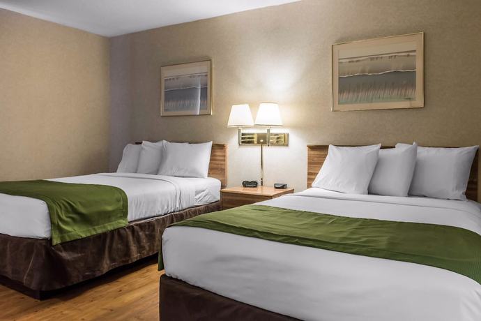 Imagen de la habitación del Hotel Quality Inn Arena. Foto 3