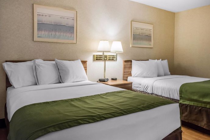 Imagen de la habitación del Hotel Quality Inn Arena. Foto 6