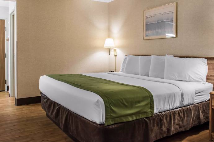 Imagen de la habitación del Hotel Quality Inn Arena. Foto 9