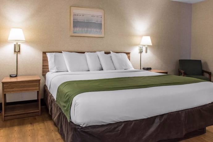 Imagen de la habitación del Hotel Quality Inn Arena. Foto 11