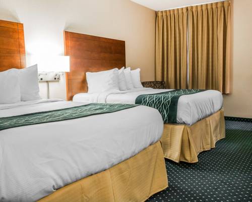 Imagen de la habitación del Hotel Quality Inn Auburn Hills. Foto 2