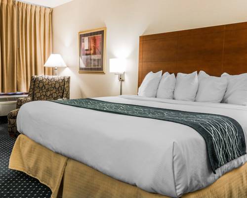 Imagen de la habitación del Hotel Quality Inn Auburn Hills. Foto 3