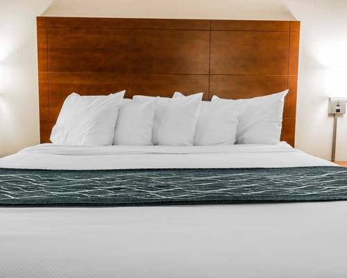 Imagen de la habitación del Hotel Quality Inn Auburn Hills. Foto 4
