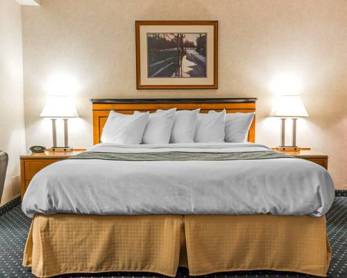Imagen de la habitación del Hotel Quality Inn Auburn Hills. Foto 8