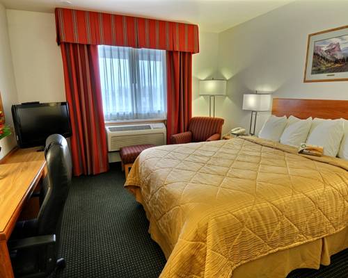 Imagen de la habitación del Hotel Quality Inn Belgrade. Foto 3