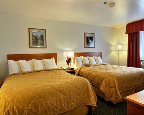 Imagen de la habitación del Hotel Quality Inn Belgrade. Foto 6