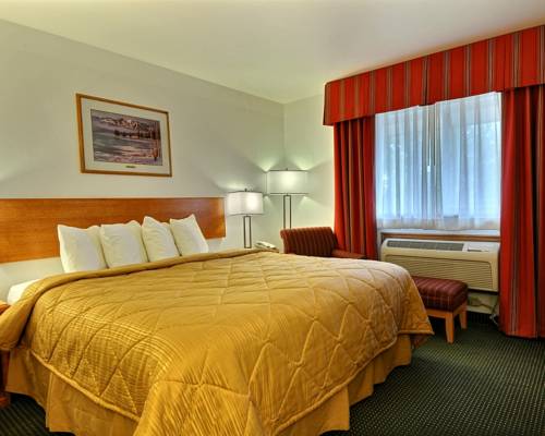 Imagen de la habitación del Hotel Quality Inn Belgrade. Foto 7
