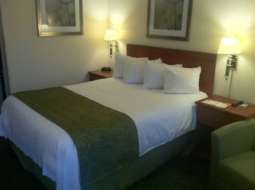 Imagen de la habitación del Hotel Quality Inn Bellevue. Foto 9
