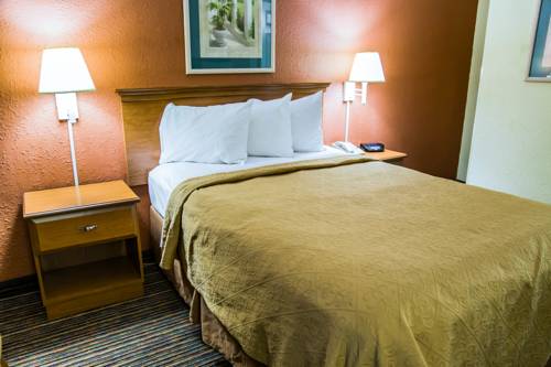 Imagen de la habitación del Hotel Quality Inn Bradenton - Sarasota North. Foto 4