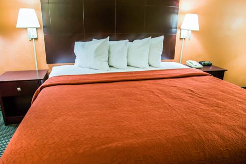 Imagen de la habitación del Hotel Quality Inn Bradenton - Sarasota North. Foto 7