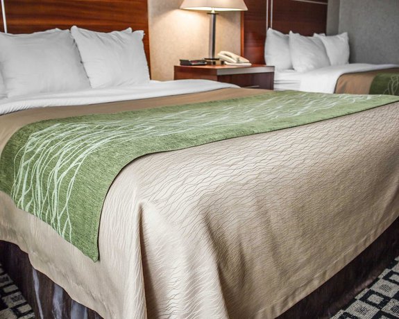 Imagen de la habitación del Hotel Quality Inn, Clarion. Foto 9