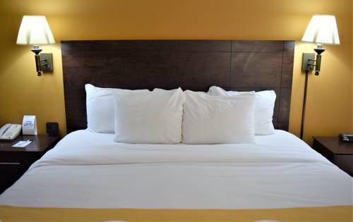 Imagen de la habitación del Hotel Quality Inn Conference Center At Citrus Hills. Foto 8