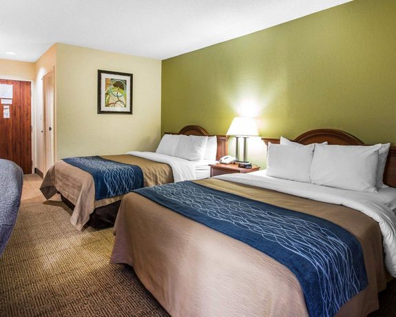 Imagen de la habitación del Hotel Quality Inn Darien - North Brunswick. Foto 2
