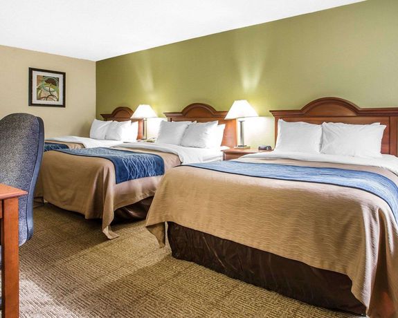Imagen de la habitación del Hotel Quality Inn Darien - North Brunswick. Foto 5