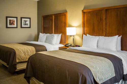 Imagen de la habitación del Hotel Quality Inn, Dover. Foto 14