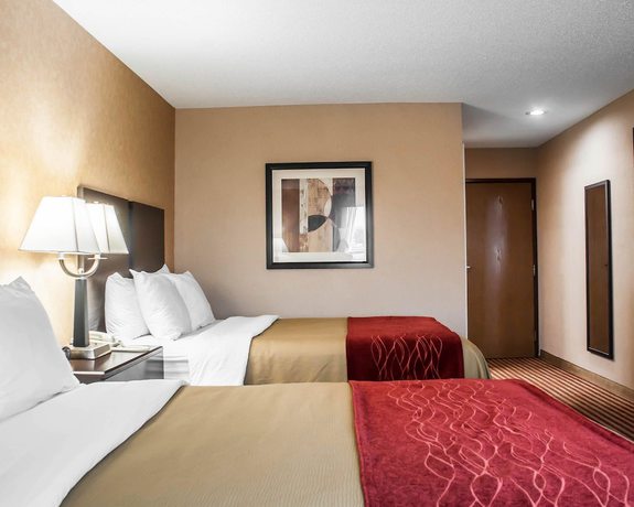 Imagen de la habitación del Hotel Quality Inn Dunkirk/Fredonia. Foto 7
