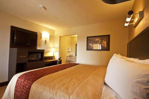 Imagen de la habitación del Hotel Quality Inn Elk Grove/sacramento. Foto 2