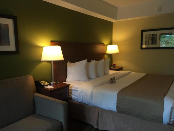 Imagen de la habitación del Hotel Quality Inn Flamingo. Foto 3